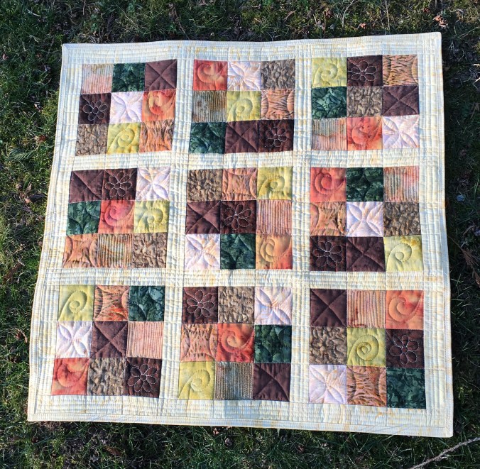 Magnificent Mini - in the sunshine