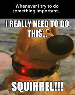 Screen Shot 2020-01-30 at 2.18.35 PM