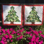 UNADJUSTEDNONRAW_thumb_38d6